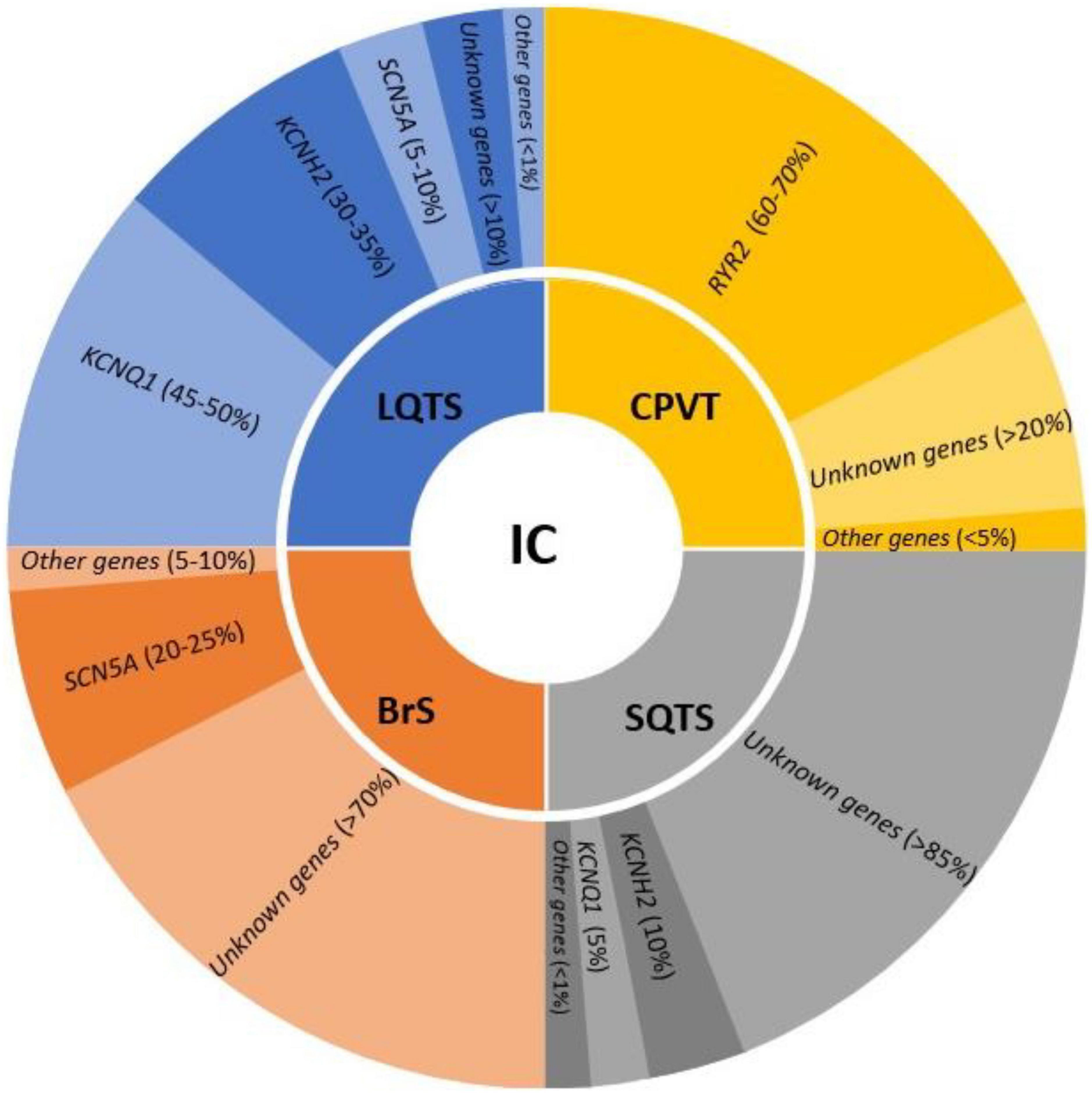 Molecular autopsy: Twenty years of post-mortem diagnosis in sudden cardiac death